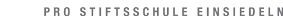 Stiftung Pro Stiftsschule Logo